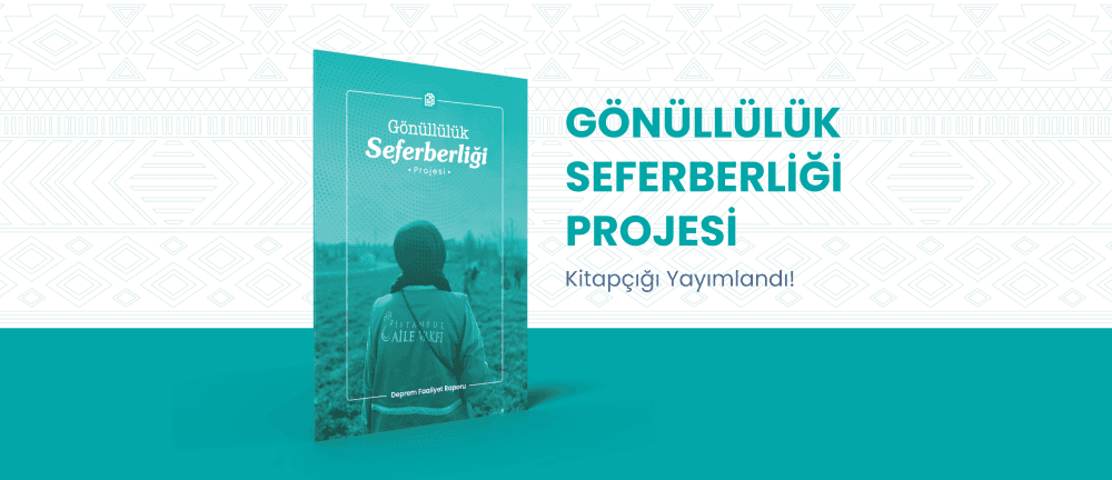 Gönüllülük Seferberliği